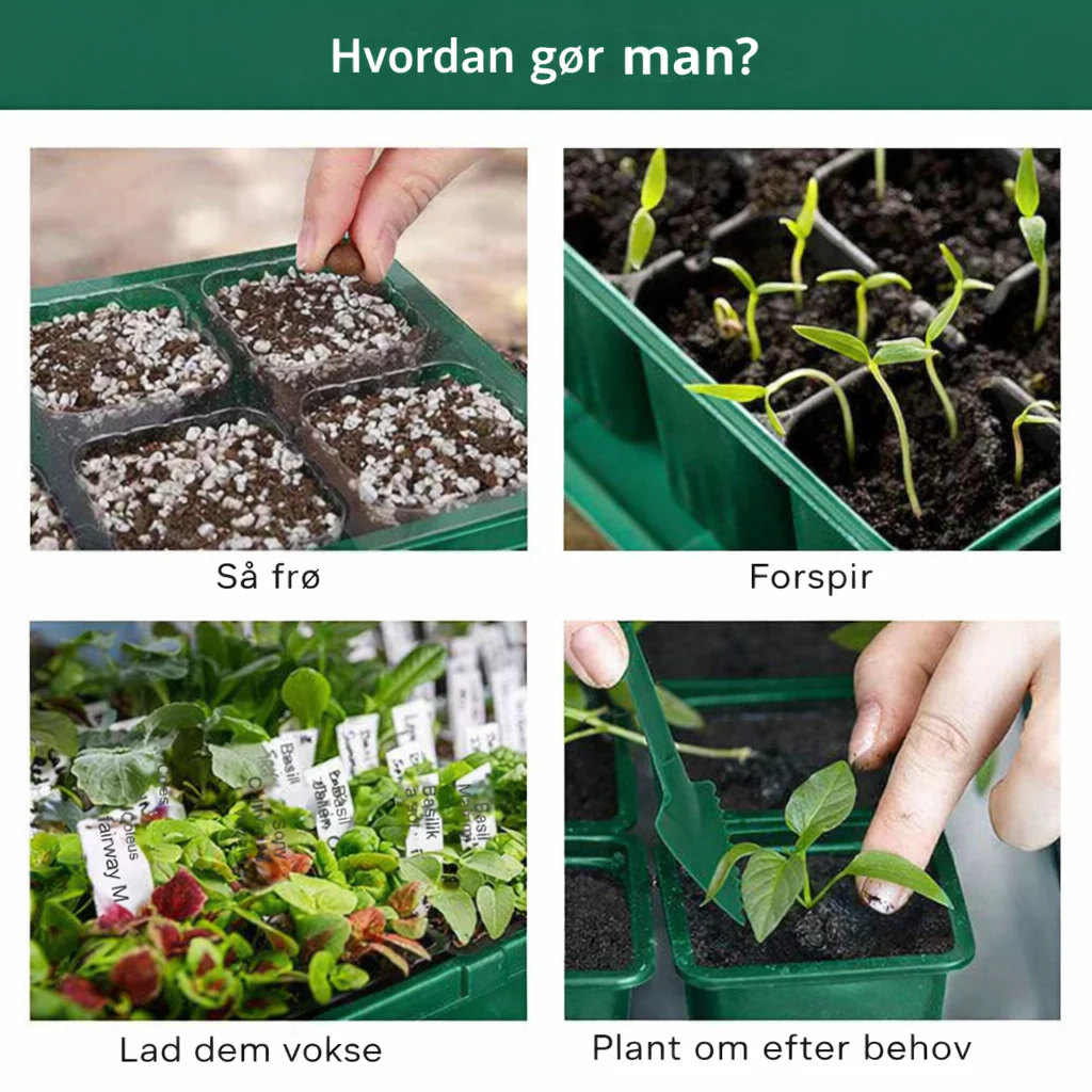 GrønHjem™ - Indendørs Drivhus med LED-lys & Smart Timer - Image 5