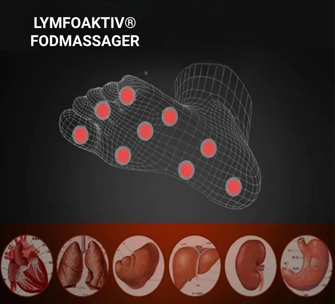 LymfoAktiv – Innovativ NMES-fodmassage til blodcirkulation og væskestrøm - Image 9