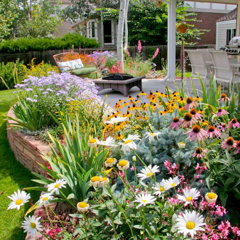 NordicBloom™ – Farverigt Blomstermix med over 60 Sorter (1000 stk.) - Image 3