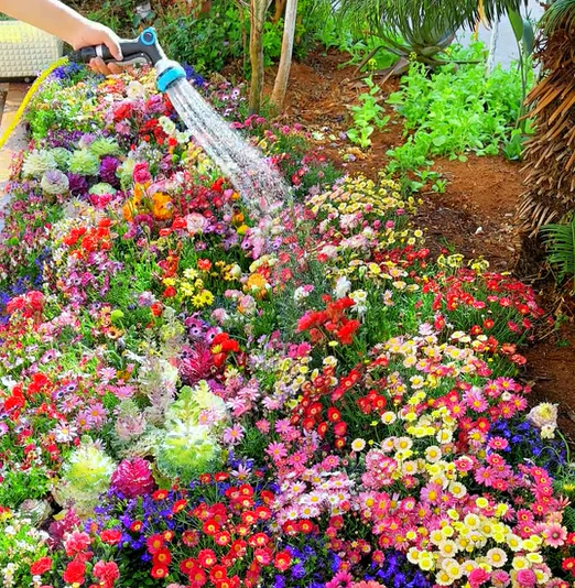 NordicBloom™ – Farverigt Blomstermix med over 60 Sorter (1000 stk.) - Image 7