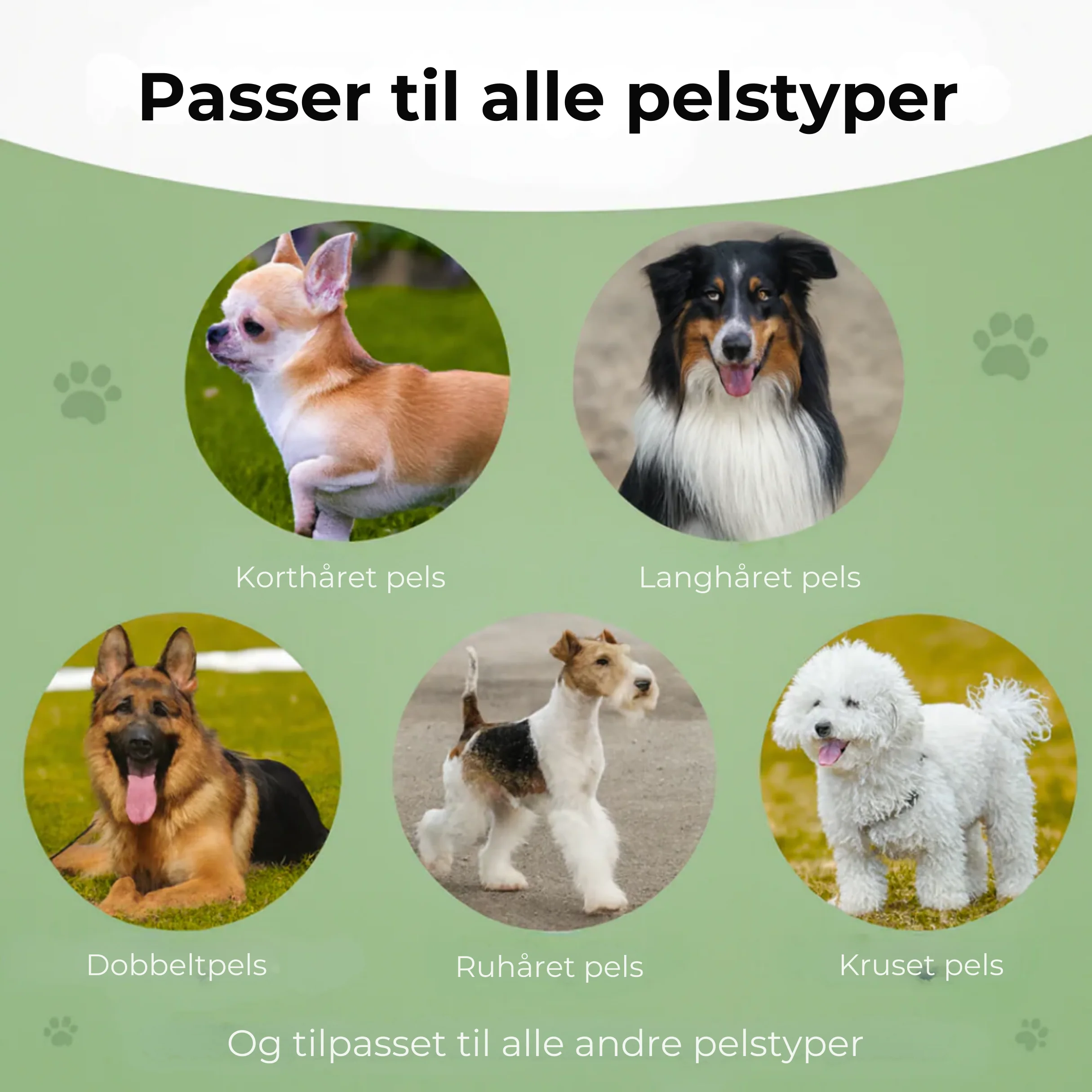 PelsFri™ Hundebørste™ | Slut med pels – hundebørsten alle elsker - Image 2