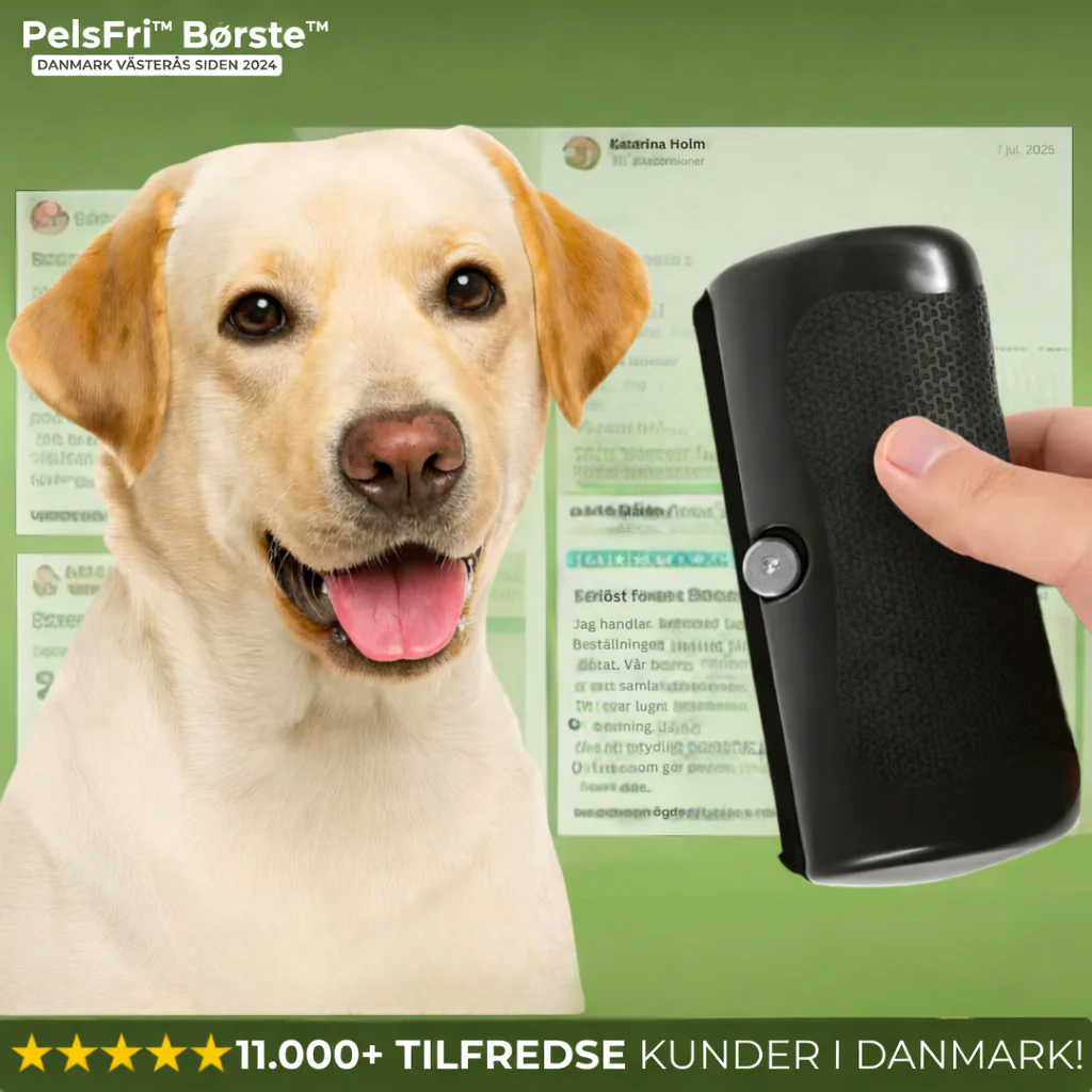 PelsFri™ Hundebørste™ | Slut med pels – hundebørsten alle elsker - Image 4