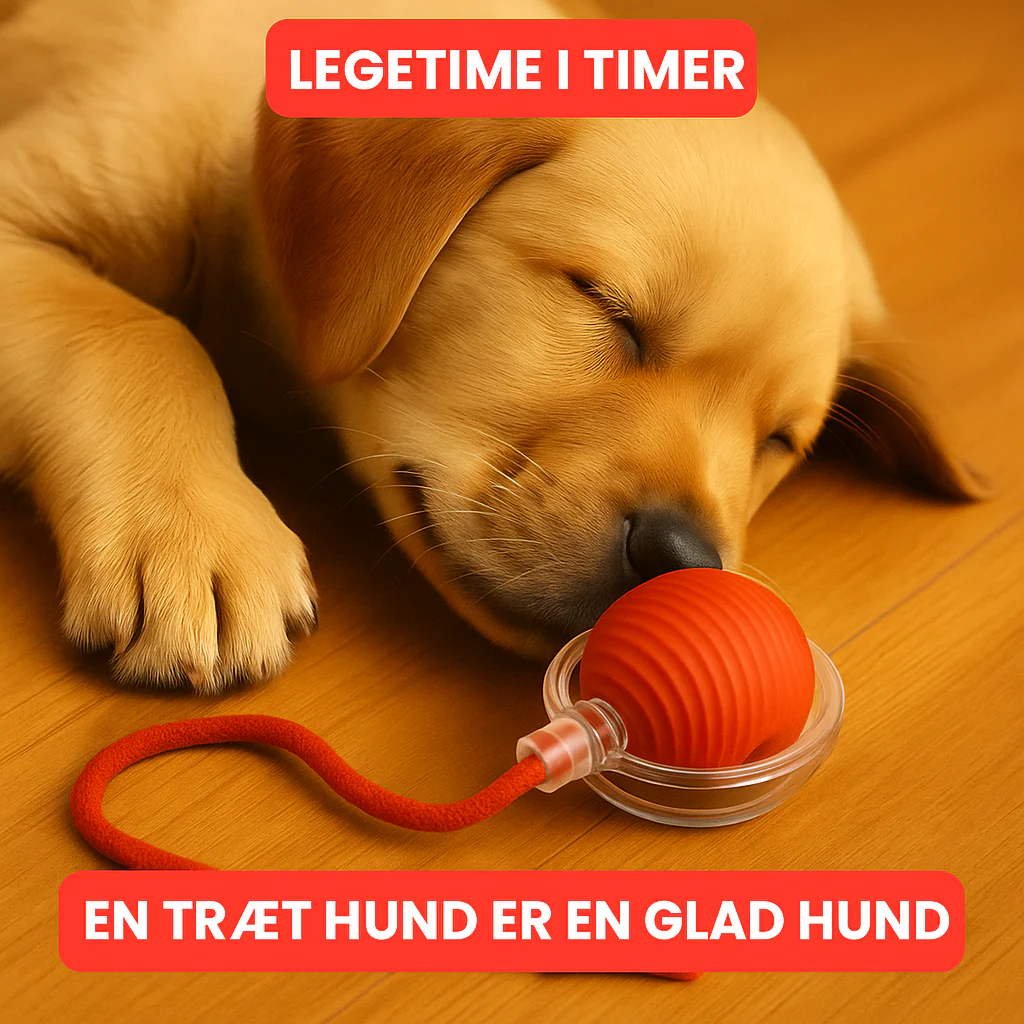 PoteBold™ | Interaktiv legebold til hunde og katte - Image 5