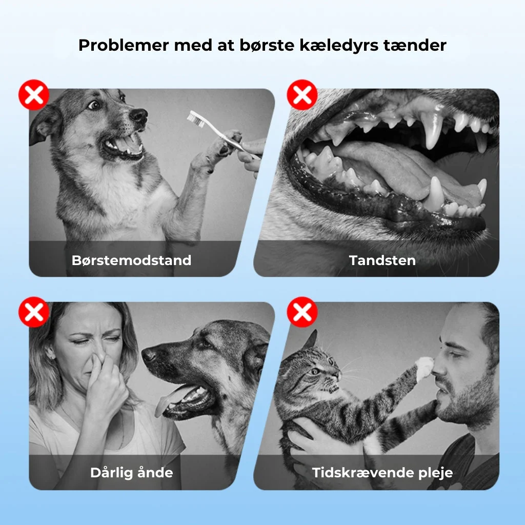 RenTand™ – Tandplejespray til Kæledyr - Image 2