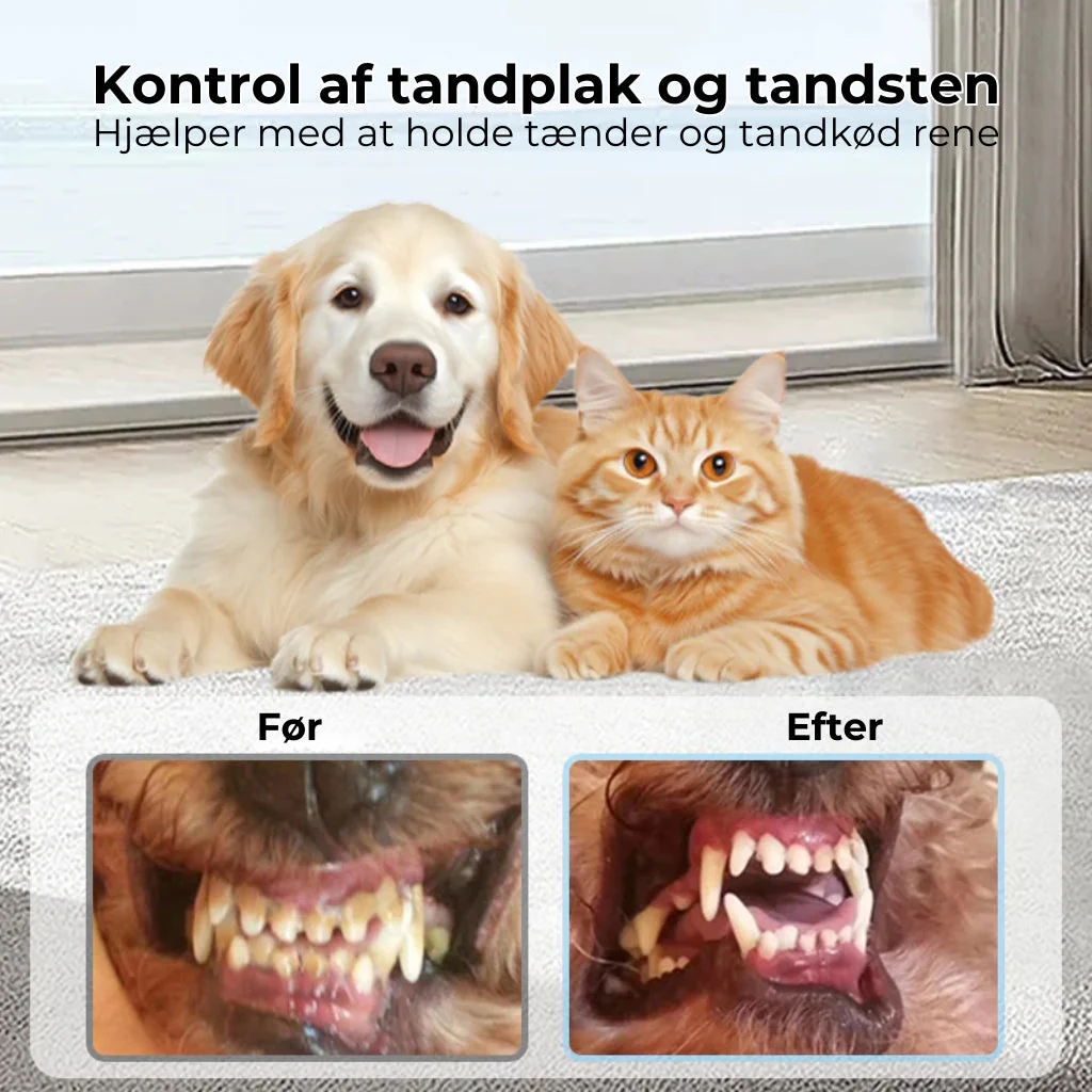 RenTand™ – Tandplejespray til Kæledyr - Image 4