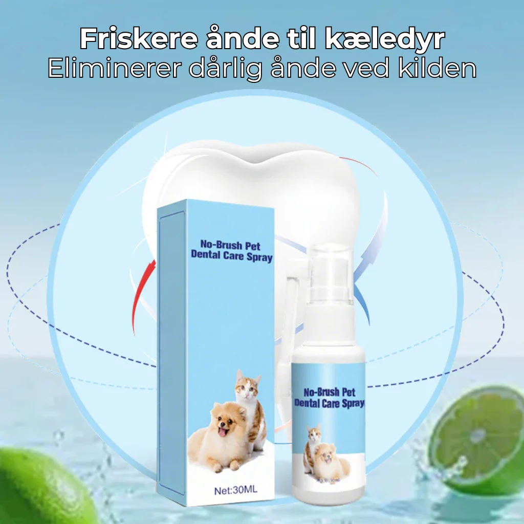 RenTand™ – Tandplejespray til Kæledyr - Image 8