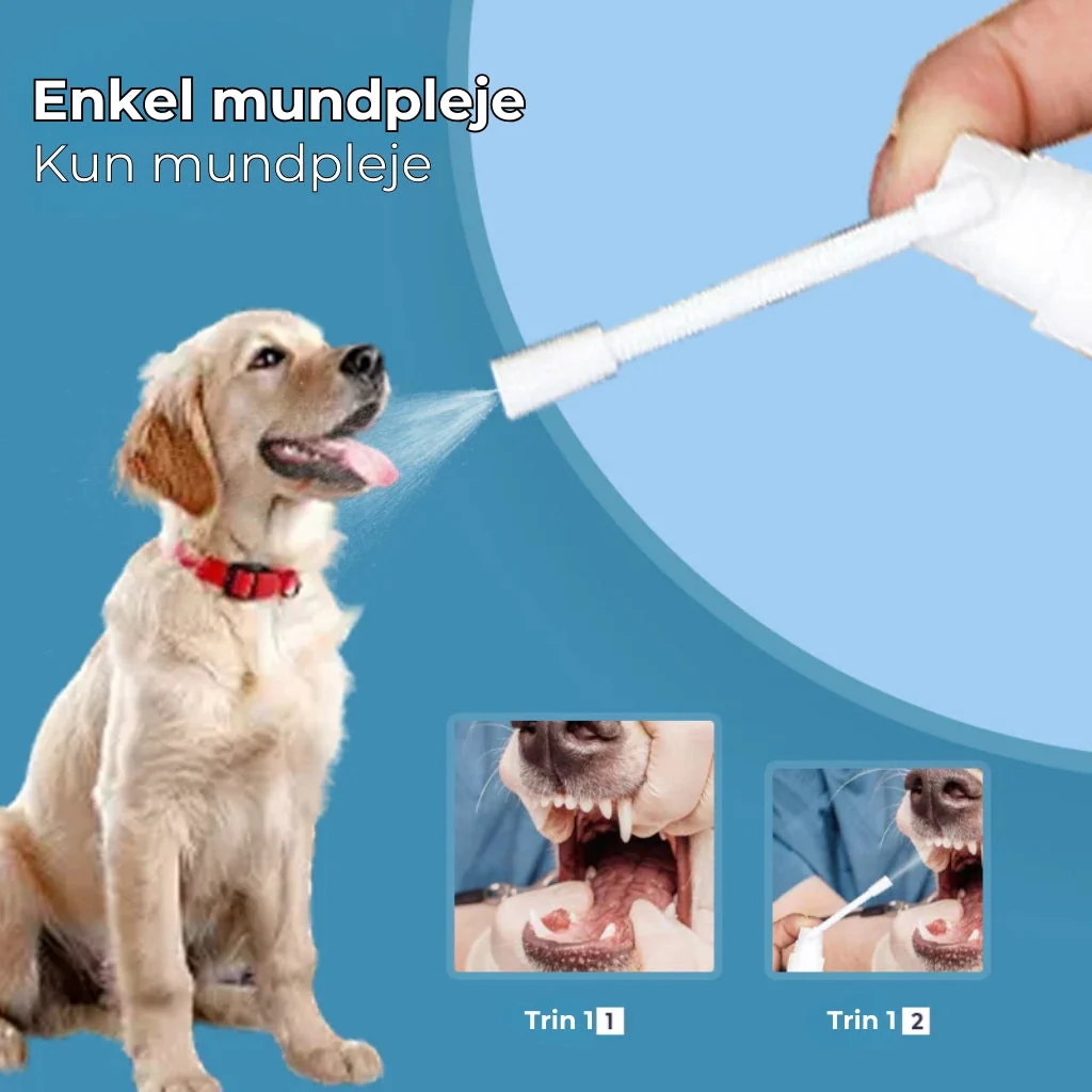 RenTand™ – Tandplejespray til Kæledyr - Image 9