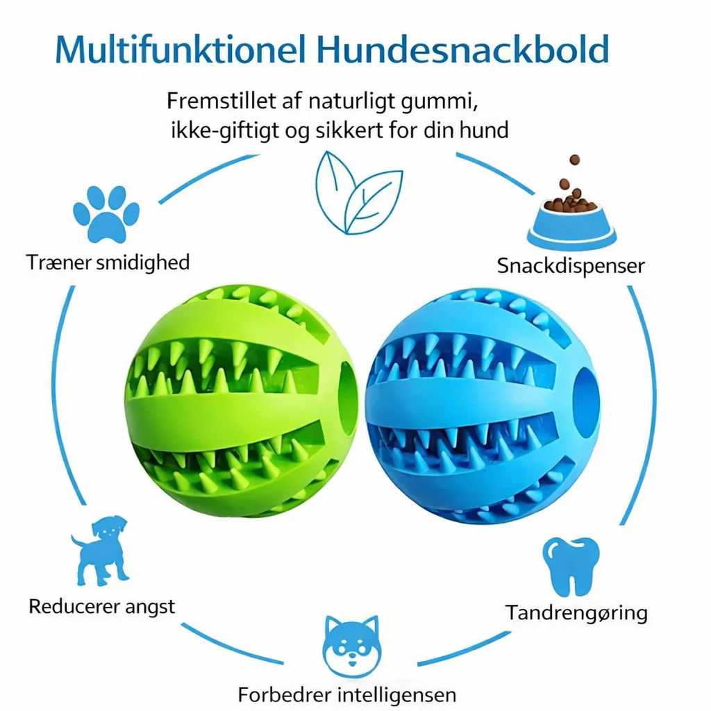 RenTand™ - Interaktiv Hundebold - Image 3
