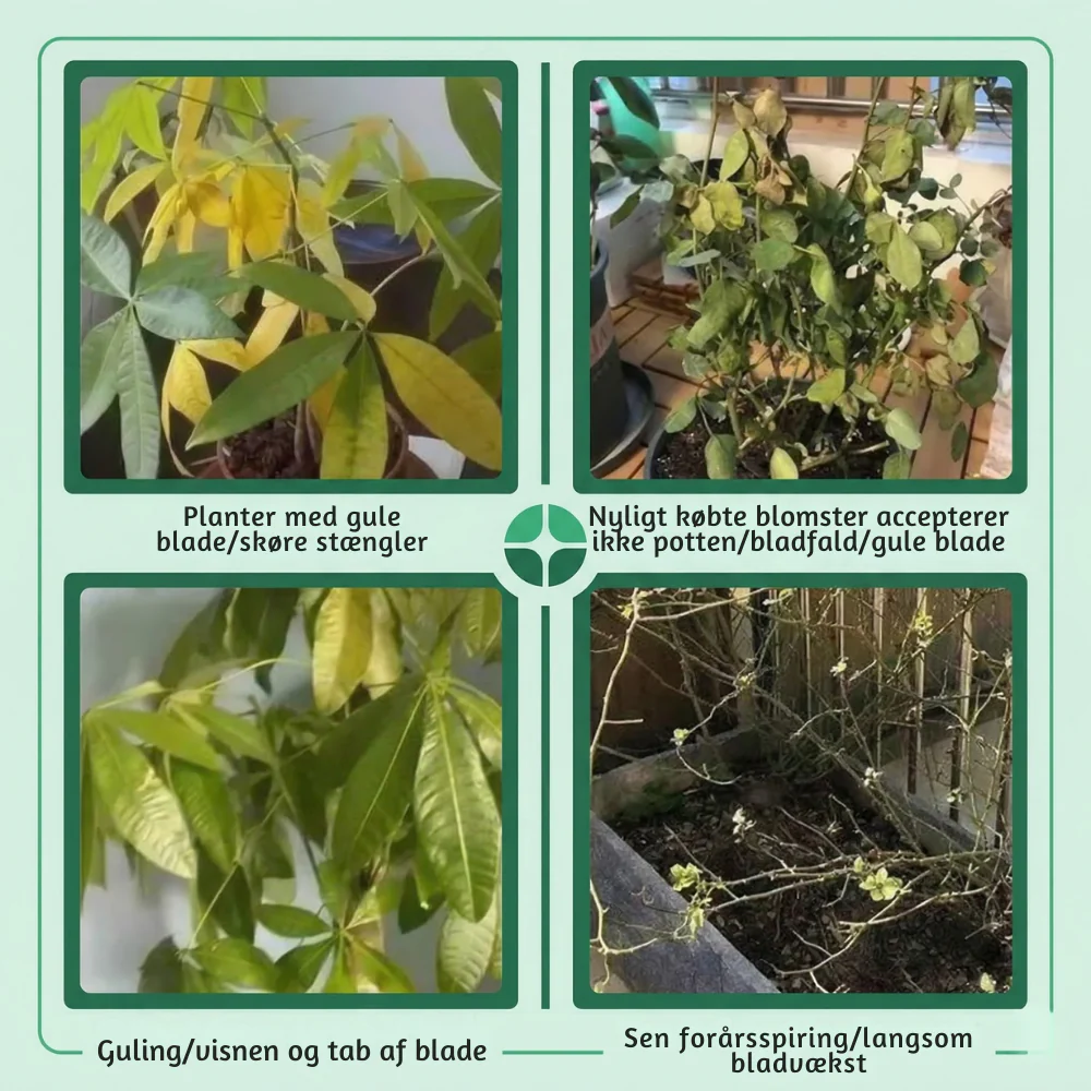 RodKraft™ – Naturlig Rodstyrke & Optimal Plantevækst - Image 9